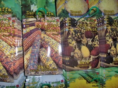 Sjeme hibridnog ukrasnog kukuruza sa šarenim zrnjem