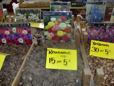 Najpovoljniji način kupnje