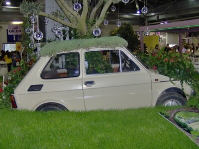 Peglica u cvijeću, trava oko nje