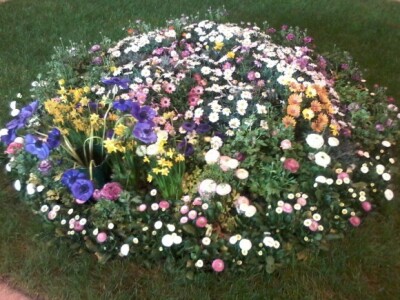 Za sajam cvijeća Ortogiardino interesa ne nedostaje