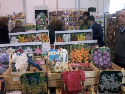 Za sajam cvijeća Ortogiardino interesa ne nedostaje