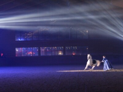 Ovaj nastup je dugo čekao