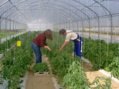 Žaklina i Marijan Sever