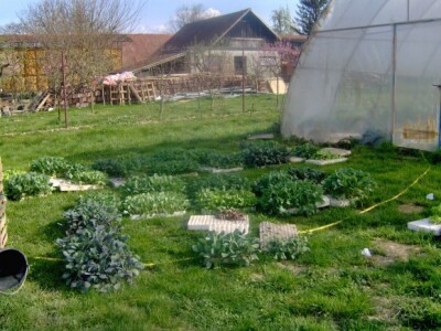 Podravsko povrće na podravskim stolovima