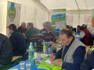 Neke bolesti vinove loze specifične su za određene krajeve naše zemlje