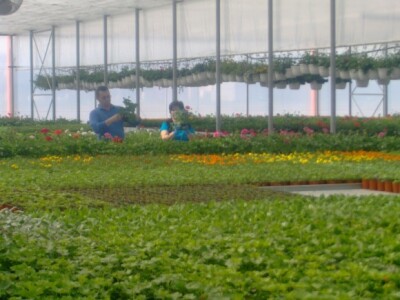 Zaposleno je sedam novih radnika