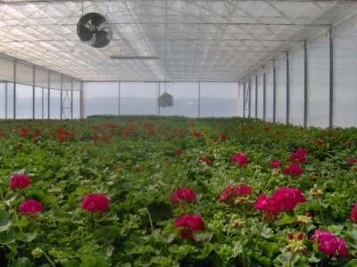 Kontrola agroklimatskih uvjeta je automatizirana