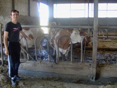 Alen Beštek u staji