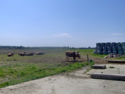 Zov sela i poljoprivrede bio je jači od Zagreba