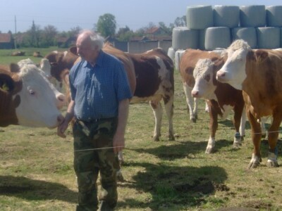 Pradjed Dragutin Beštek