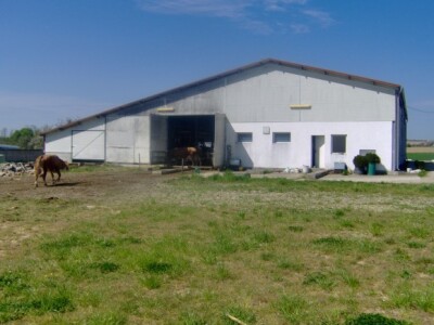 Na farmi je 160 grla