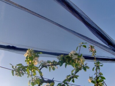 Zaštitna mreža je skupa, ali korisna investicija