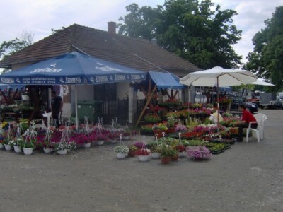 I cvijeće je čekalo nove vlasnike