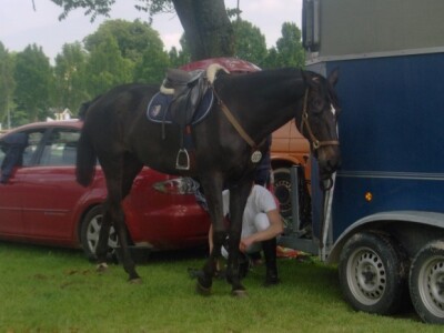 Uređivanje prije turnira