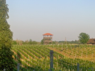 Vidikovac na kraju vinograda