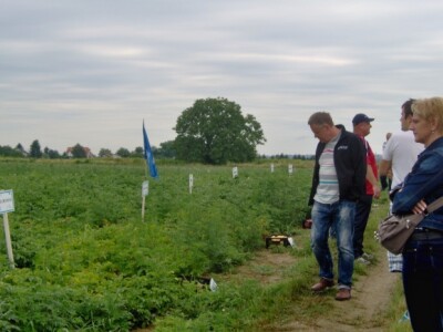 Pred samo početak, kiša je napokon prestala