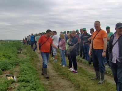 Gumene čizme na nogama nekih poljoprivrednika gledale su se gotovo sa zavišću
