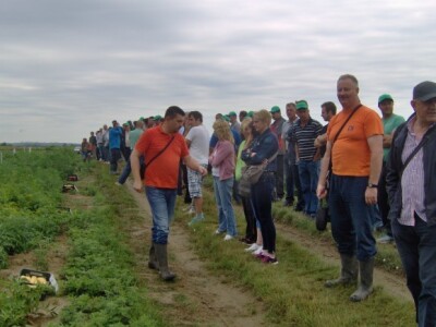 Gumene čizme na nogama nekih poljoprivrednika gledale su se gotovo sa zavišću