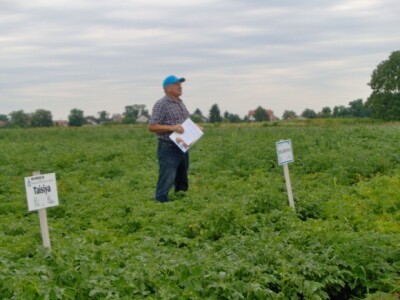 Josip Sedlaček iz tvrtke Solanum