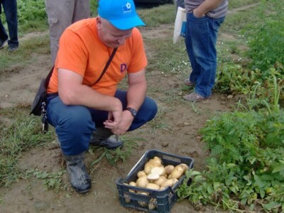 No i iznutra je zdrav ko dren