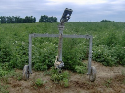 Bez navodnjavanja je ozbiljnija proizvodnja krumpira nezamisliva