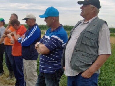 Damir Mesarić (drugi s desna), vlasnik polja na kojem smo se okupili