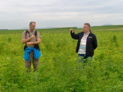 Stručnjaci smatraju da se upotrebom minimalno triju sredstava može postići zadovoljavajuća zaštita