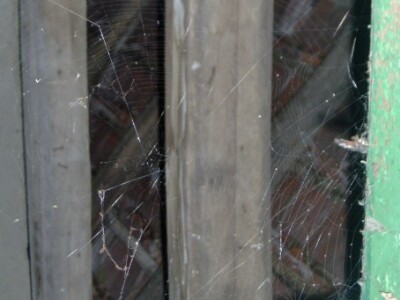 Na sve strane paučine