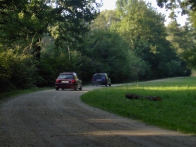 I još jedan susret Bukevjana je završio