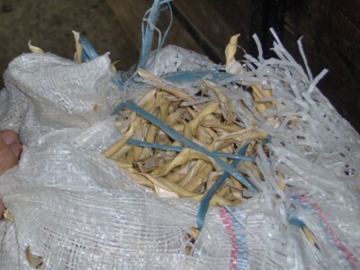 Bijele komušine od graha