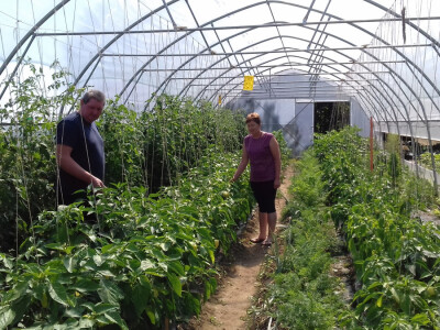 Roditelji Nevenka i Anđelko bave se povrćem