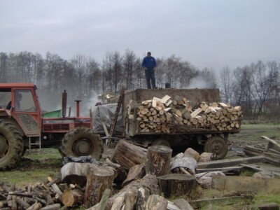 Sve počinje s dovozom drva iz obližnjih šuma