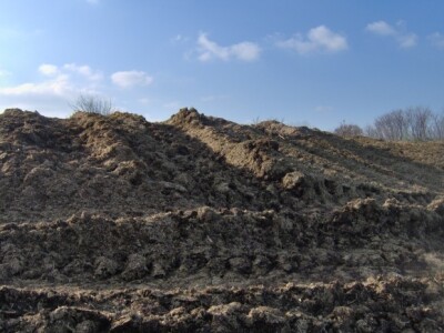 Brdo nagaženog sirka