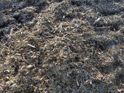 Sirak uskoro odlazi u Sloveniju