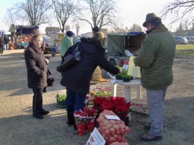 Od cvijeća najtražnije su božićne zvijezde