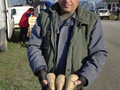 Pastrnjak, povrće za ukusniju juhu