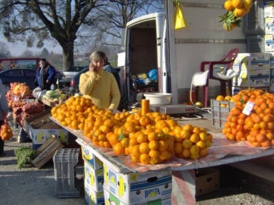 Mandarine i nektarine jednog opuzenskog OPG-a