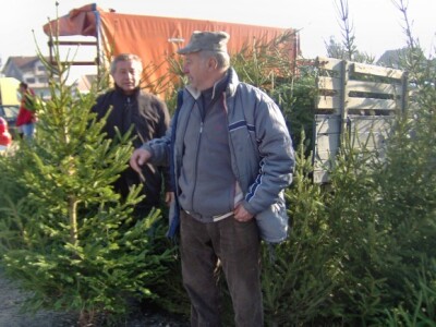 Smreke još uvijek većina kupaca samo gleda