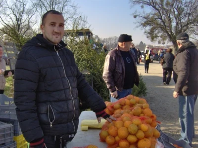 Opuzenske mandarine