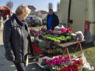 Tko kaže da sredinom prosinca cvjećari nemaju robe?