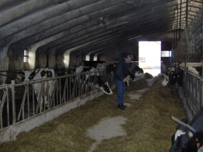 Kapacitet postojeće farme je popunjen