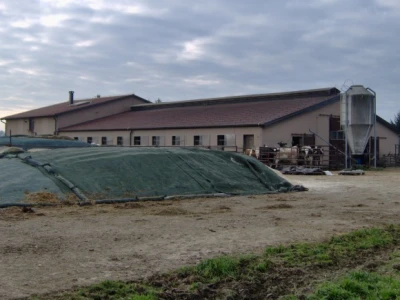 Silaža