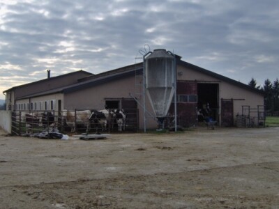 Panići planiraju proširenje farme