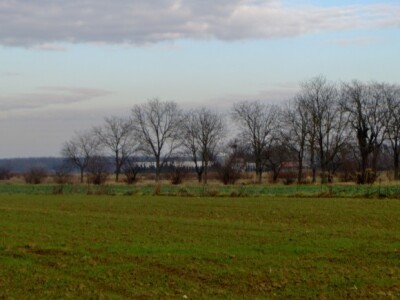 Obrađuju 80 hektara zemlje