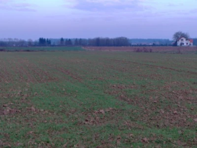 Na većini površina su trave za silažu