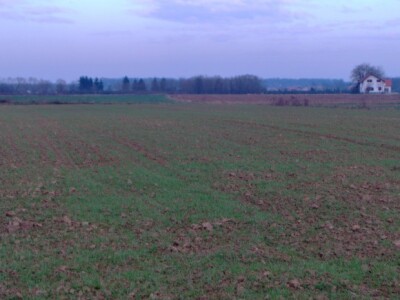 Na većini površina su trave za silažu