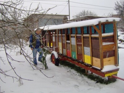 Dnevni obilazak košnica