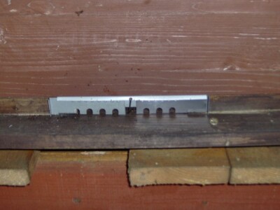 Čim zatopli pčele izlaze