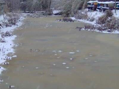 Voda je zaleđena, ali ribe su tu