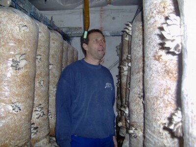 Tomislav u prostoriji u kojoj rastu bukovače Tomislav u prostoriji u kojoj rastu bukovače